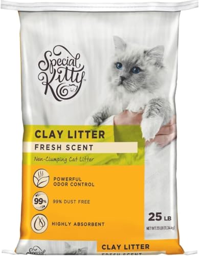 Special Kitty Non-Clumping Clay Cat Litter, Fresh Scent, 25 lbs.