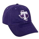 Desert Cactus Tarleton State University Embroidered Baseball Hat (A) Purple