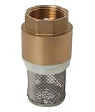 valvulas de retencion de agua pvc Muelle en acero inox Montserrat 00812 Válvula Retención Pie de Pozo, Oro, 3/4\"