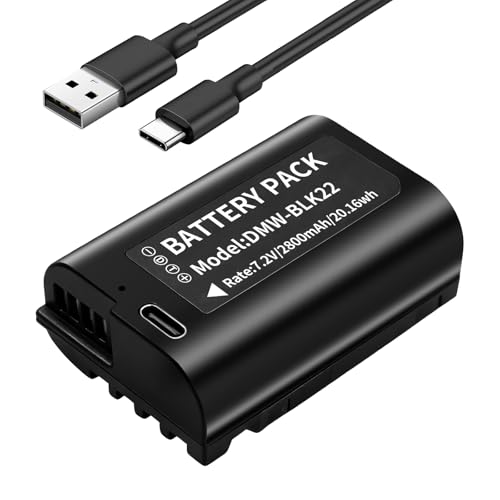 Batería DMW-BLK22 con USB-C integrado para solucionar la falta de energía en Lumix S5II