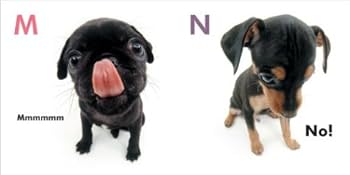 わんちゃんページ The Dog from Arf! Arf! to Zzzzzz: Dog Artlist Collection