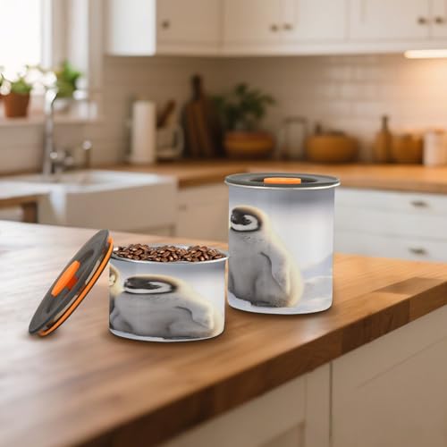 Envase para café de acero inoxidable ATTX 500ml miniatura 6