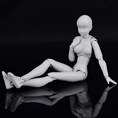Body Kun Dx Set Male Female Gray Color Body-Chan Action Figure Model Set Pvc Figure Model Drawing For Shf S H Figuarts #TOP5