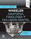  Wheeler. Anatomía, fisiología y oclusión dental (11ª ed.9