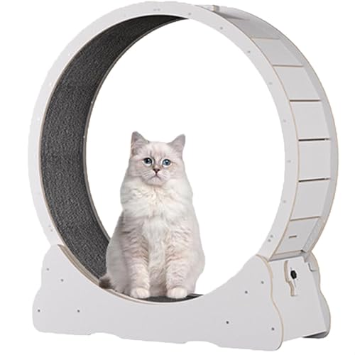 YQDDM Cat Wheel for Indoor Cats, Pet Treadmill Running Machine, with Brake, Cat Exercise Wheel for Health, Cat Interactive Toy, with Lock and Carpeted(White,L)