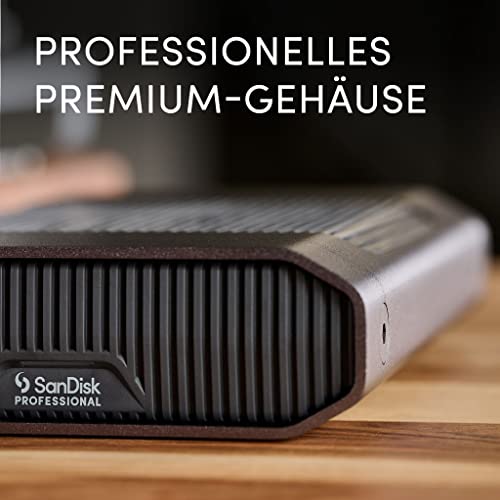Externe Festplatte 3,5 Zoll Sandisk Professional G-Drive 12 TB