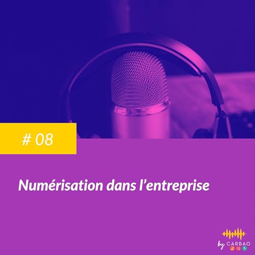 La num&eacute;risation des entreprises