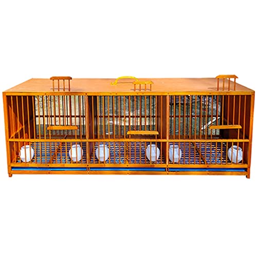 Grande maison pour oiseaux transportable et volière pigeons