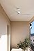 Imagen de FARO BARCELONA 34274