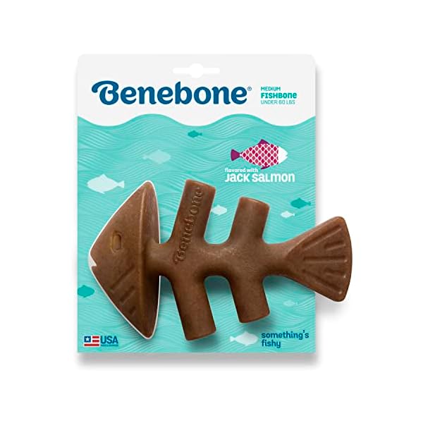 Benebone-Fishbone-Durable-Dog-Chew-Toy-for-Aggressive-Chewers-Real-Fish-Made-in-USA-Medium Benebone Fishbone Durable Dog Chew Toy for Aggressive Chewers, Real Fish, Made in USA, Medium