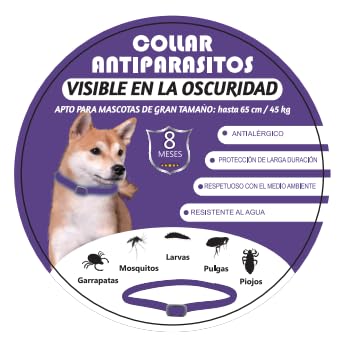 Collar antiparasitario Perros Grande y pequeño. Antipulgas. Desparasitante. Luminoso. Tamaño Ajustable. Antipulgas y garrapatas. (Violeta)
