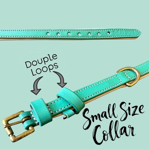 Image of High Graded Premium Leather Dog Collar- Dog Collar for Large Dogs, Dog Collar for Med, Dog Collar Belt (Green, Size Neck - Small (11.5-14.5 Inch)