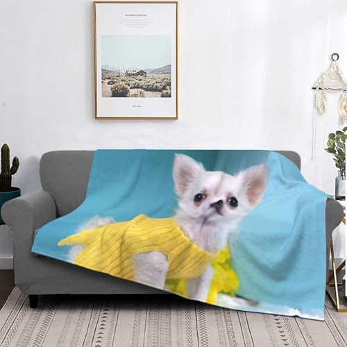 Couverture lit microfibre chihuahua légère et douce pour canapé