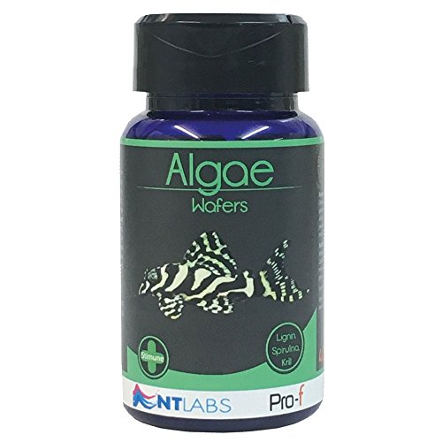 NT Labs Pro-F - Obleas de algas (110 g) Cover