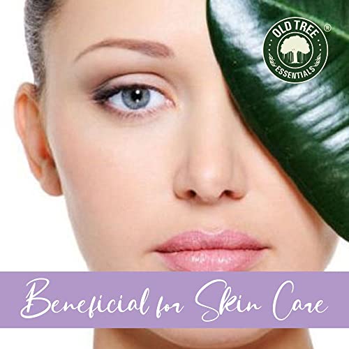 Old Tree Lavender Essential Oil for Home Fragrance (30ml) - Pure & Natural Lavender Oil for Skin, Hair, Sleep, Diffuser, Soap Making - Essential Oil with Dropper for Aroma Therapy and Relaxation