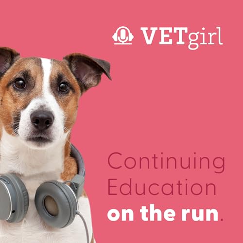 Healing From Errors: When Good Vets Make Mistakes | VETgirl Veterinary Continuing Education Podcasts
