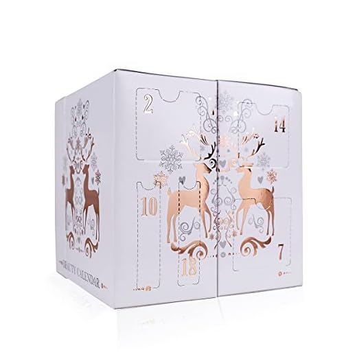 accentra Skönhet adventskalender för kvinnor med 24 makeup, kosmetika och accessoarer produkter för en varierad och elegant adventstid
