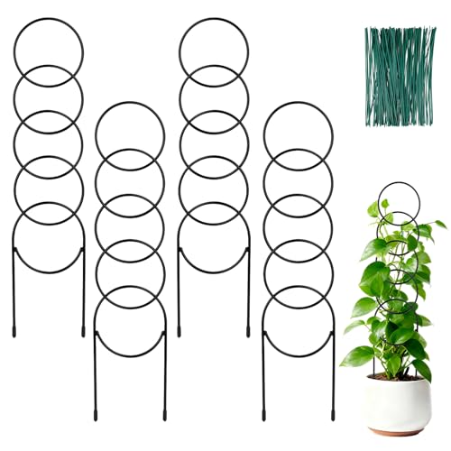 16-Inch Metal Indoor Plant Trellis, 4-Pack
