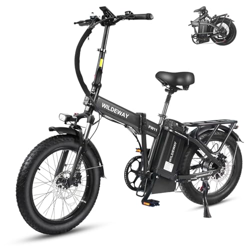 Wildeway 32Ah 20” x 3.0” FW11 Pro Upgraded Electric Bike