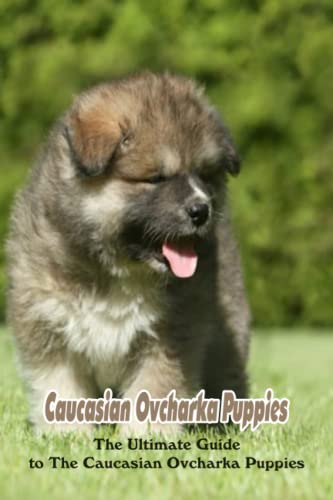Caucasian Ovcharka Puppies: The Ultimate Guide to The Caucasian Ovcharka Puppies