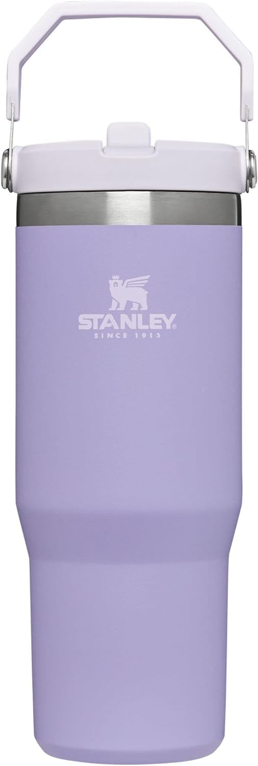 Stanley Cup 30oz with handle Stainless Steel Vacuum