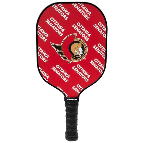 Pagaie de pickleball carbone avec noyau nid d'abeille pour club