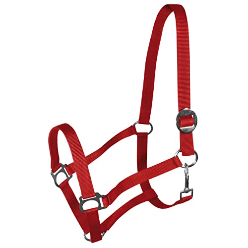 York Nylonhalfter Halfter Genickstück Verstellbar durch Schiebeschnalle Harmony Pferdehalfter (X-Full, rot)
