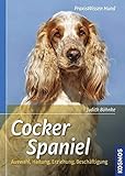 cockapoo hunde  Cocker Spaniel: Auswahl, Haltung, Erziehung, Beschäftigung