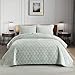 Homzard Velvet King Size Comforter Set, Luxury King Quilt, Light Green Bedding Set, Soft Plush Bedspread, Lightweight for All Season