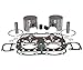 WSM Top End Kit (704cc) - 0.25mm Oversize to 81.25mm Bore 010-832-11
