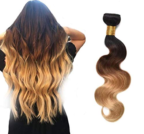 Allnice Ombre Bundles Brazilian Body Wave Human Hair Bundles 22inch One Bundle 3 Tone 1b/4/27 Virgin Hair Weave Bundles 100% Unprocessed Remy Hair Bundles
