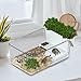 Bothyi Small Turtle Tank Turtle Aquarium Decorative Multi Use Terrapin Breeding Box Reptile Habitat for Crabs Crayfish, White