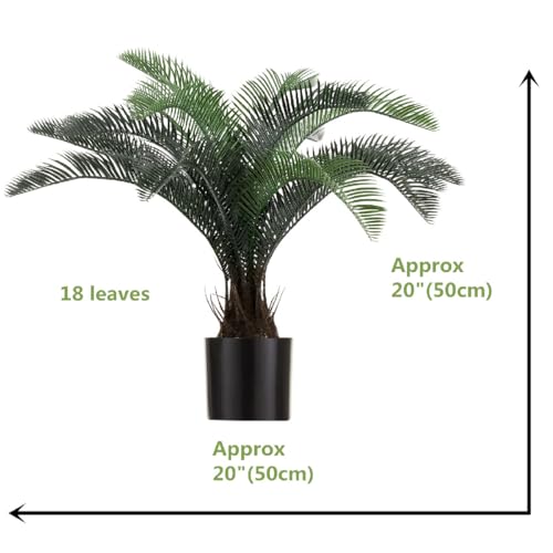 La Mejor Selección de Tiendas de plantas naturales favoritos de las personas. 2 Imagen adicional
