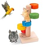 🐹Objetos aplicables: Los juguetes de escalera para mascotas son adecuados para pequeños roedores como hámsters, ratones, hámsters sirios, hámsters enanos, jerbos, etc.