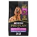 Purina Pro Plan Sensitive Skin and Sensitive Stomach Dry Dog Food, FOCUS Sensitive Skin & Stomach Lamb & Oat Meal Formula - 24 lb. Bag
