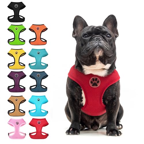 BINGPET Small Dog Harness, No Pull Dog Harness Small Sized Dogs, Soft Light Breathable Mesh Puppy Vest with Safety Buckle-Adjustable Step in Pet Harnesses for Easy Walking, Running, Training