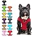 BINGPET BB5001 Soft Mesh Dog Harness Pet Walking Vest Puppy Padded Harnesses Adjustable , Red Medium