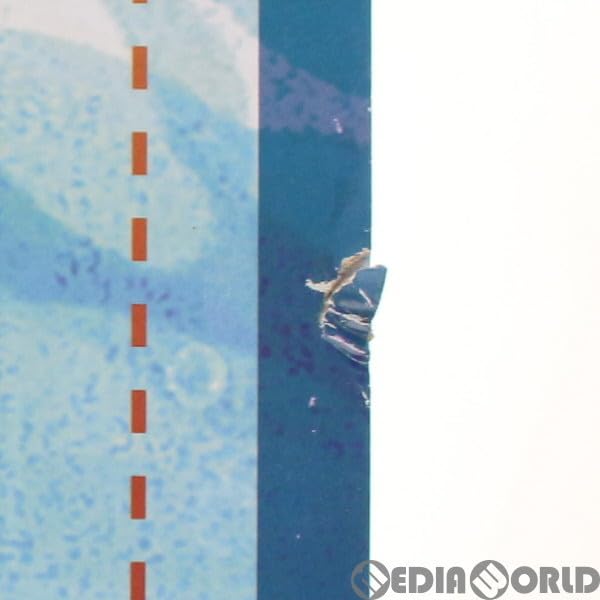 アズールレーン ザラ 水辺の出逢い B-Style 1/4 スケール B-style ザラ 水辺の出逢い アズールレーン 1/4 完成品