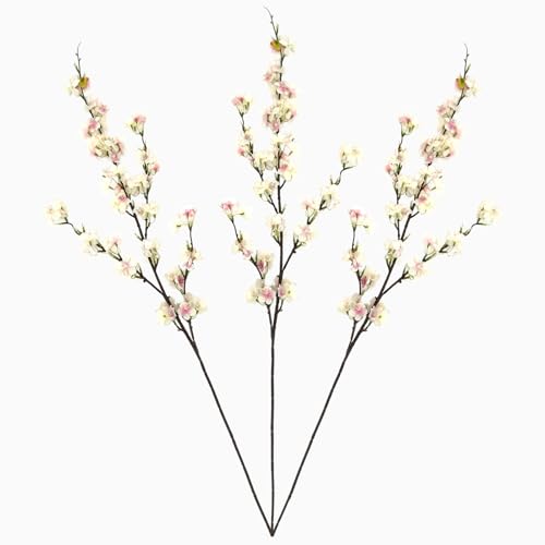 yAȍ̑ 109cmzl    CeA t[AWg t  p[eB[ Xܑ (CgsN)