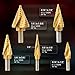 ZELCAN Step Drill Bits, HSS 5PCS Titanium Step Drill Bit Set, Spiral Grooved with Automatic Center Punch, Step bit Set for Sheet Metal with Aluminum Case, Multiple Hole Stepped up Bits for DIY Lovers