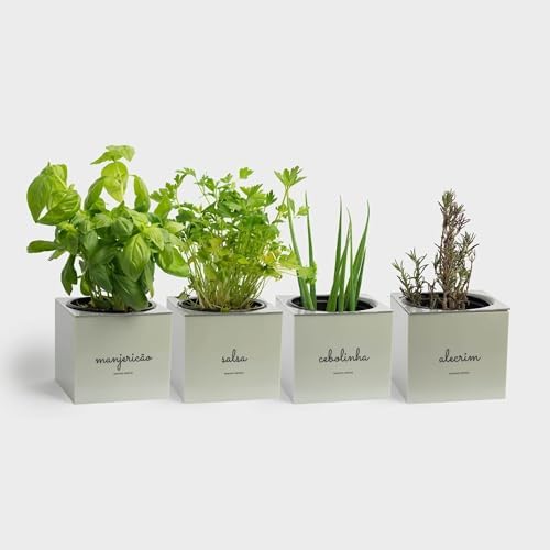 Kit Plantio Completo Minha Horta Plástico Vaso Autoirrigável Subs...