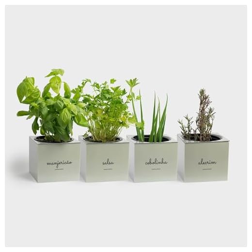 Kit Plantio Completo Minha Horta Plástico Vaso Autoirrigável Substrato Sementes Jardim Hortaliças (Branco)