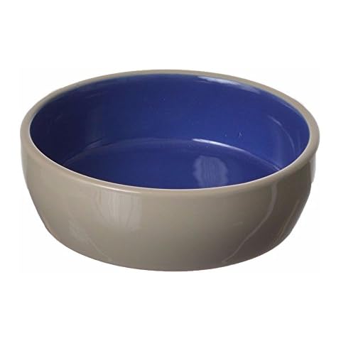 Spot Ethical Stoneware Cat and Reptile Bowls Cover