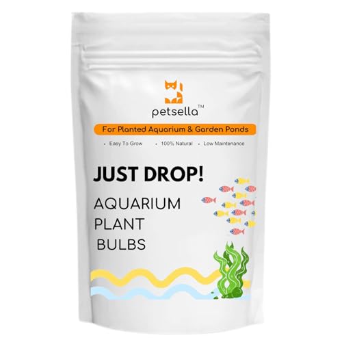 Petsella™ Just Drop! Live Aquarium Plant Bulbs Easy To Grow Seeds (Pack of 5 Bulbs) For Fish Tank Decoration