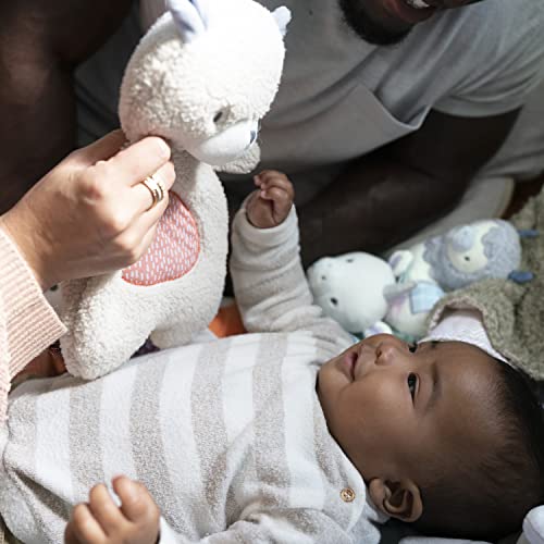 Image of Ingenuity Premium Soft Mini Bean Bag Plush, Nate The Teddy Bear, Ages Newborn and up.