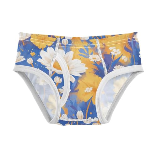 KLL Daisy Toddler Boys Cotton Underwear Briefs Cute Children Undies