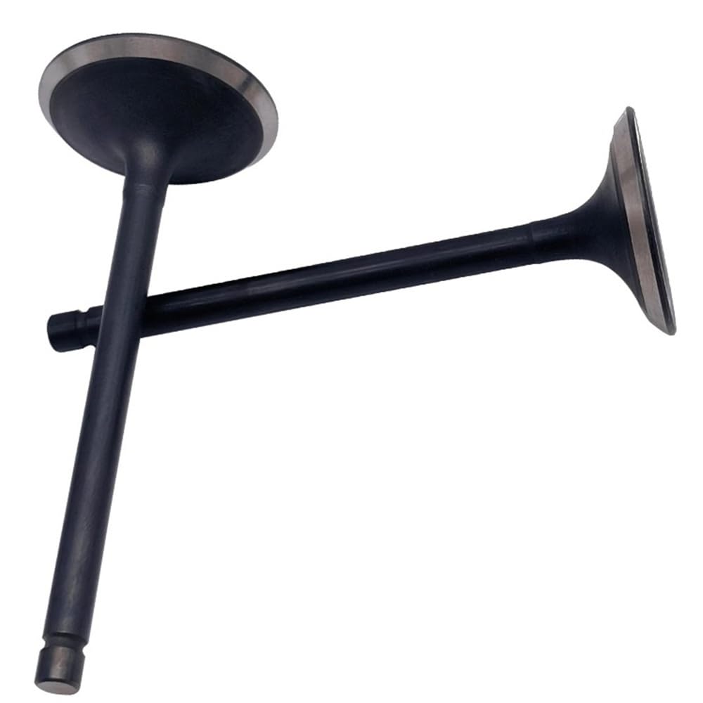 Intake Valve Fit for Lh 400 Engine Part 27223 27222