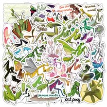 50Pcs Praying Mantis Stickers Vinyl Aesthetic Decals for Laptops Skateboards Luggage Helmets Bikes and Phones Teens Adults and Insect Fans