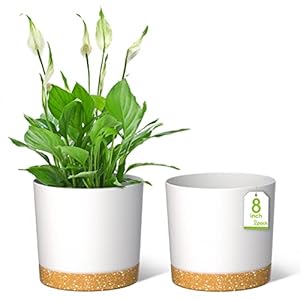 ZMTECH Blumentopf 20 cm Durchmesser übertöpfe für zimmerpflanzen, Kunststoff blumentöpfe mit Untersetzer und Abflusslöchern, Rund pflanztöpfe für Innen Außen Pflanzen(2er-Set, Weiß)