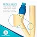Dynarex 4944 Foley Catheter, Sterile, Medical-Grade, Soft and Flexible 2 Way, 5 cc, 24FR, Pack of 100